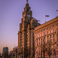 Buy canvas prints of The Liver Building - Purple Skies by James Harrison