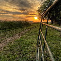 Buy canvas prints of Farm Gate at Sunset Coveney Norfolk by Jacqui Farrell