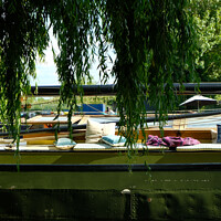 Buy canvas prints of Ely Riverside Boat Life by Jacqui Farrell