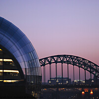 Buy canvas prints of Newcastle Tyne Bridge and Sage at Sunset by Jacqui Farrell