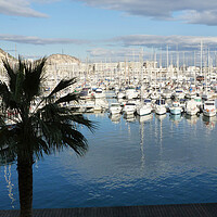 Buy canvas prints of Alicante Harbour Spain  by Jacqui Farrell