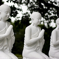 Buy canvas prints of Praying Buddhist Statues  by Jacqui Farrell