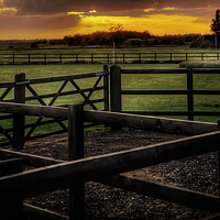 Buy canvas prints of Coveney Sunset West Norfolk by Jacqui Farrell