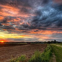 Buy canvas prints of West Norfolk Sunset by Jacqui Farrell