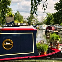 Buy canvas prints of Ely Riverside   by Jacqui Farrell