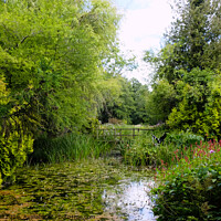 Buy canvas prints of Monet Water Garden  by Jacqui Farrell