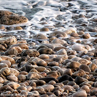 Buy canvas prints of Pebbles on the Beach by Jacqui Farrell