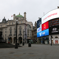 Buy canvas prints of  Piccadilly Circus by Liam Hinds