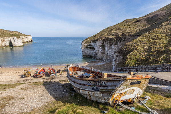 Flamborough head north landing Picture Board by chris smith