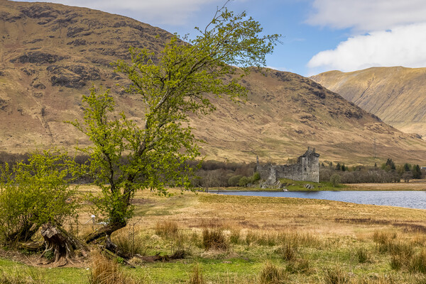 Kilchurn Castle Picture Board by chris smith