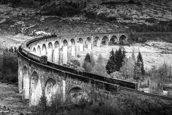Glenfinnan Viaduct Picture Board by chris smith