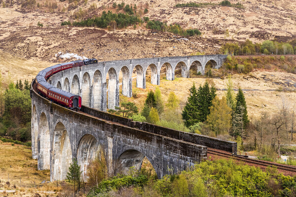 Glenfinnan Viaduct Picture Board by chris smith