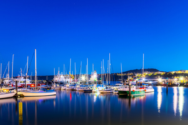 Scarborough harbour at night Picture Board by chris smith