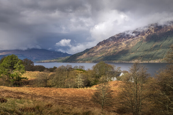 Scottish highlands Picture Board by chris smith