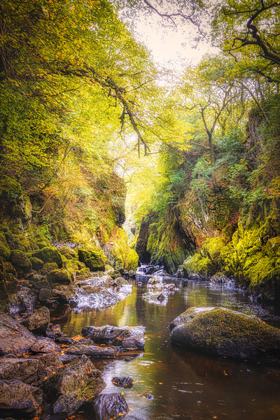 Fairy glen wales Picture Board by chris smith