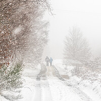 Buy canvas prints of Snowfall walk by chris smith