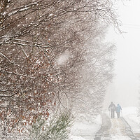 Buy canvas prints of Walking in Snow by chris smith