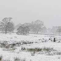 Buy canvas prints of Snow covers the landscape  by chris smith