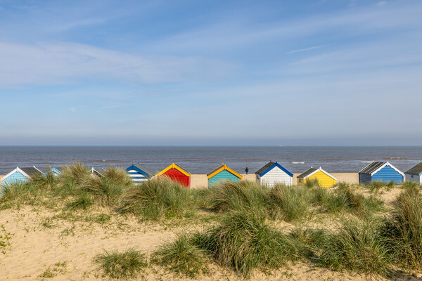 Colourful Beach Huts Picture Board by chris smith