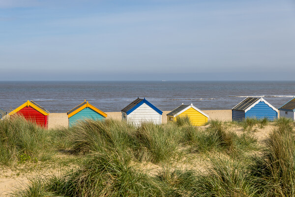 Colourful Beach Huts Picture Board by chris smith