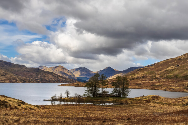 loch arklet  Picture Board by chris smith