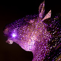 Buy canvas prints of The Kelpies by chris smith