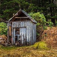 Buy canvas prints of Abandoned shed by chris smith