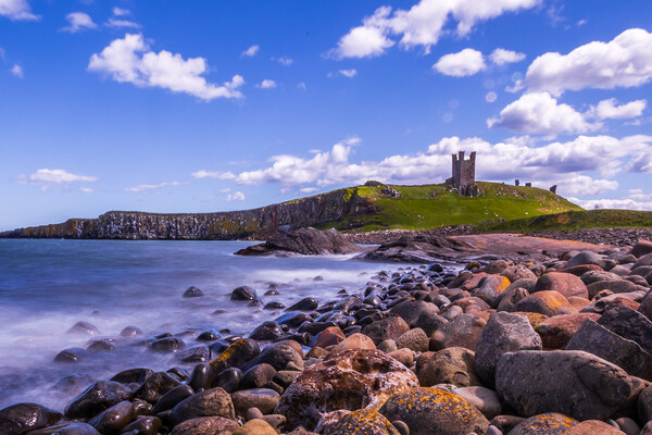 Dunstanburgh Castle  Picture Board by chris smith