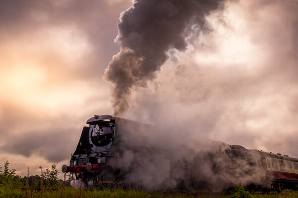 Steam train Picture Board by chris smith