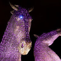 Buy canvas prints of The Kelpies by chris smith