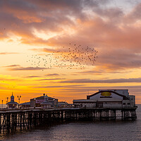 Buy canvas prints of Blackpool Sunset Starling murmuration  by chris smith