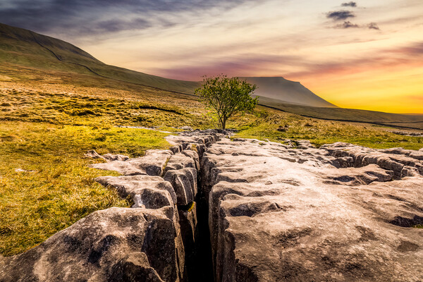 limestone pavement in the Yorkshire dales Picture Board by chris smith