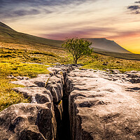 Buy canvas prints of limestone pavement in the Yorkshire dales by chris smith