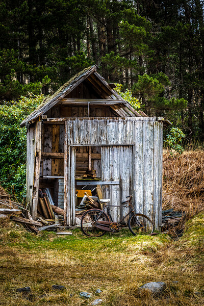Abandoned shed Picture Board by chris smith