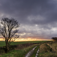 Buy canvas prints of Country lane  by chris smith