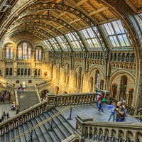 Buy canvas prints of Natural History Museum  by chris smith