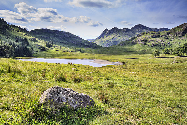 Blea Tarn. Picture Board by chris smith