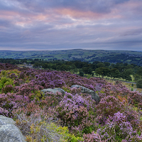 Buy canvas prints of Heather Sunset by chris smith