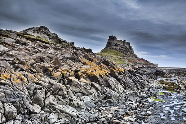 Lindisfarne Castle, holy island. Picture Board by chris smith