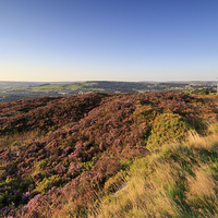 Buy canvas prints of Heather landscape. by chris smith