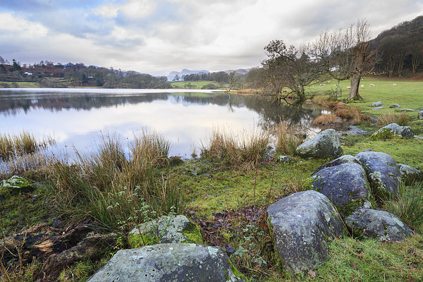 loughrigg tarn. Picture Board by chris smith