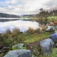 Buy canvas prints of loughrigg tarn. by chris smith
