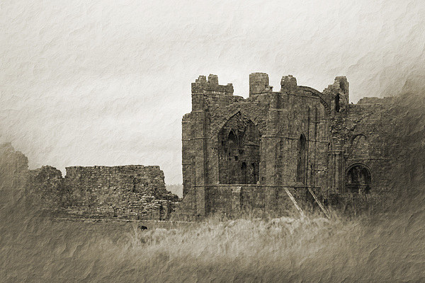  lindisfarne priory. Picture Board by chris smith