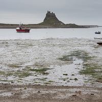 Buy canvas prints of Lindisfarne Castle, holy island  by chris smith
