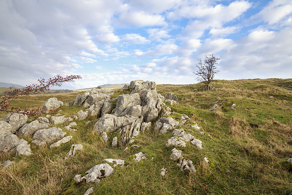 Limestone Pavement in the yorkshire dales.  Picture Board by chris smith