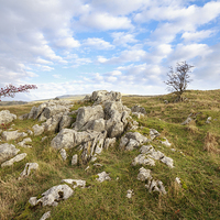 Buy canvas prints of Limestone Pavement in the yorkshire dales.  by chris smith