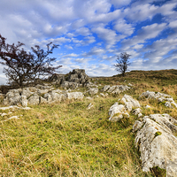 Buy canvas prints of Limestone Pavement in the yorkshire dales   by chris smith