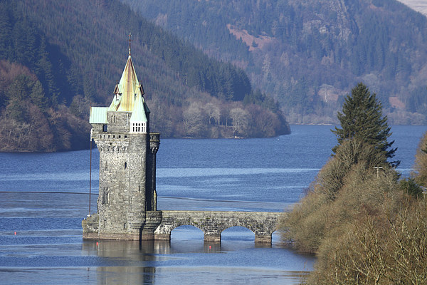 Lake Vyrnwy  Picture Board by chris smith