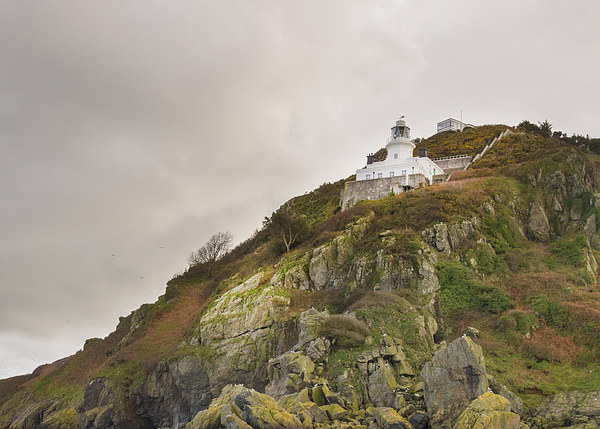 Sark Lighthouse. Picture Board by chris smith
