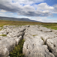 Buy canvas prints of Limestone Pavement. by chris smith